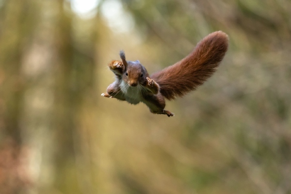 001 - De Korrel Wemmel - Brenda Heyvaert - I believe I can fly